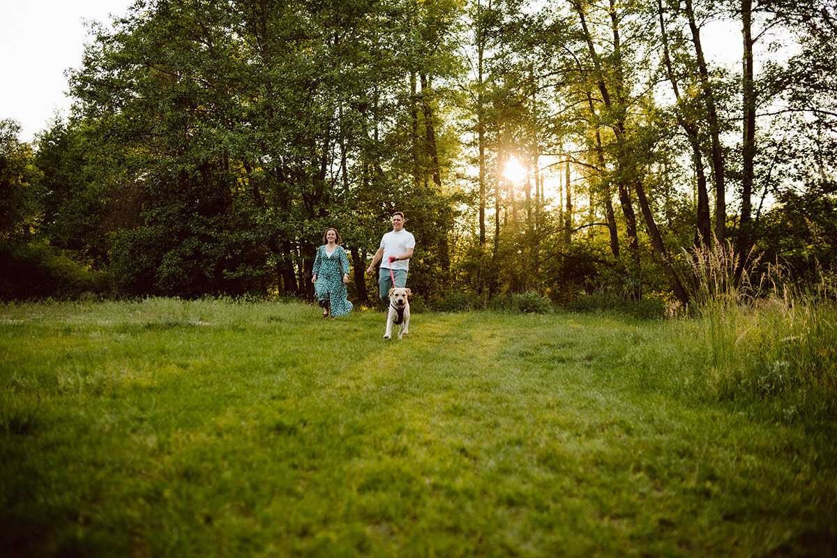 wilczy młyn fotografia