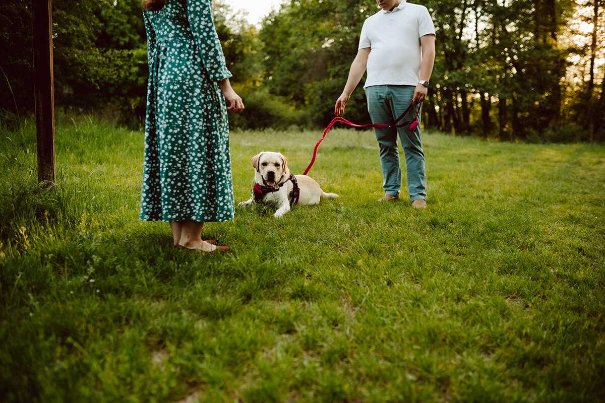 sesja narzeczeńska pies