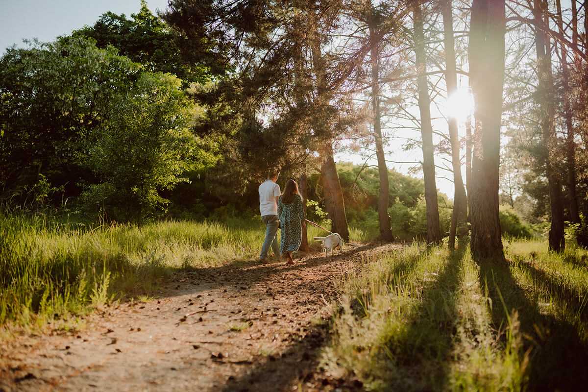 sesja narzeczenska w lesie