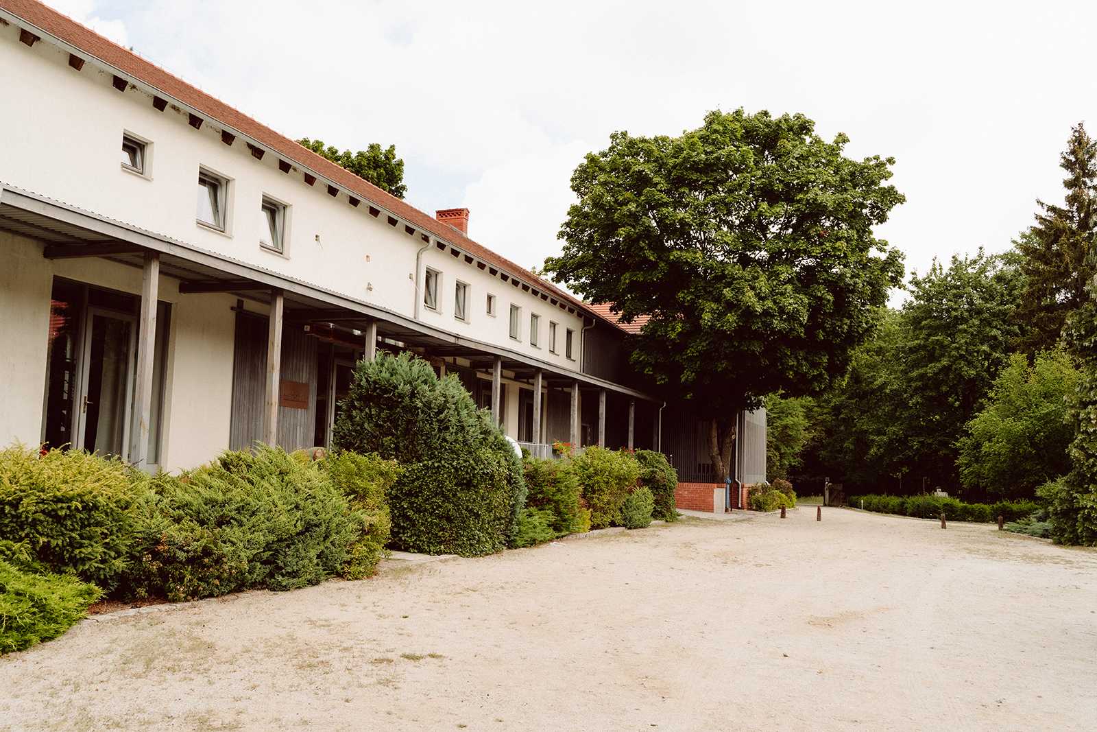 fotografia ślubna budynek restauracji novel house